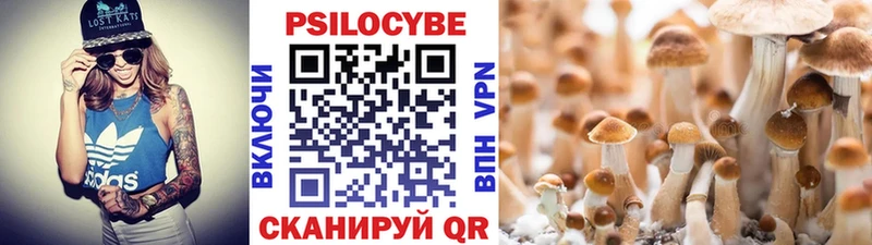 MEGA ONION  Черепаново  Галлюциногенные грибы мицелий 